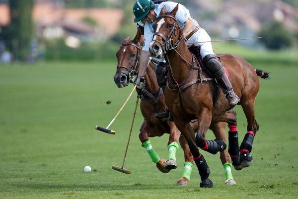 Polo_HS_EVT_POLOBERN_29602