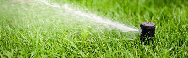 [Translate to Français (CH):] 